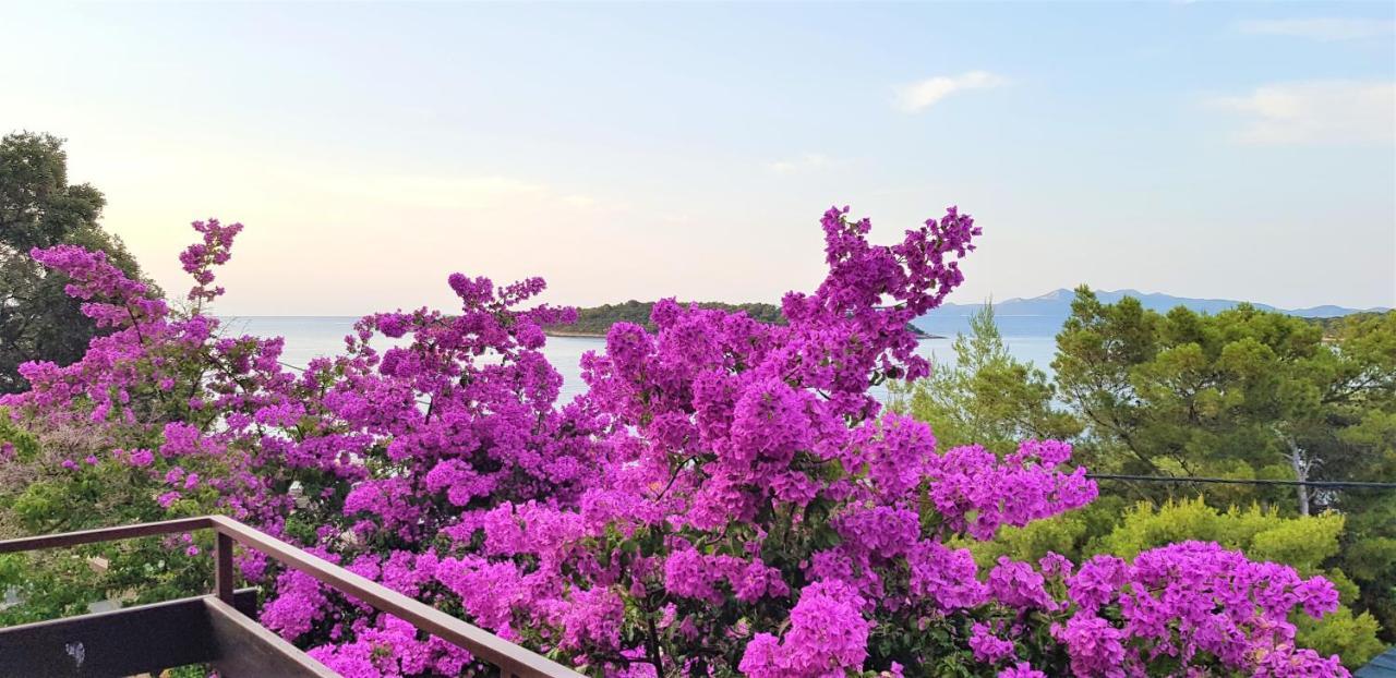 Apartman Ena By The Sea بريسبا المظهر الخارجي الصورة