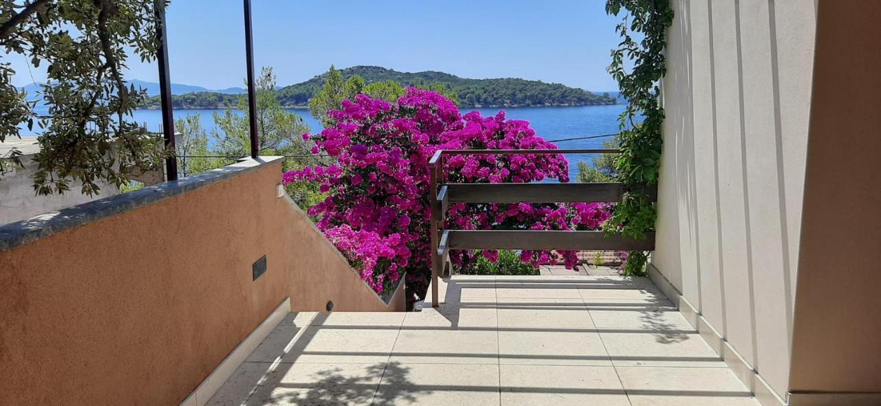 Apartman Ena By The Sea بريسبا المظهر الخارجي الصورة