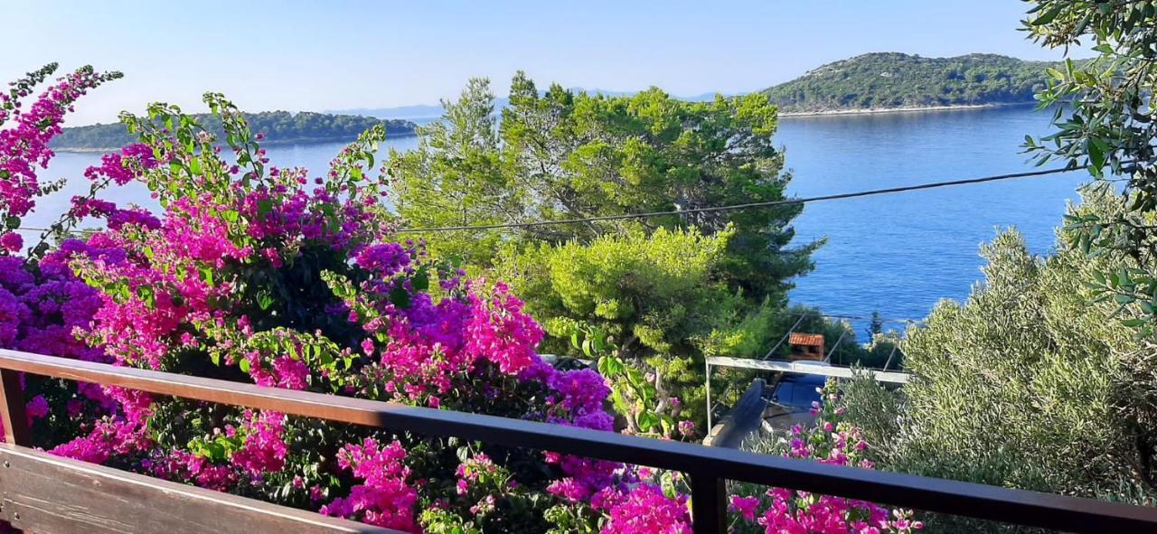 Apartman Ena By The Sea بريسبا المظهر الخارجي الصورة