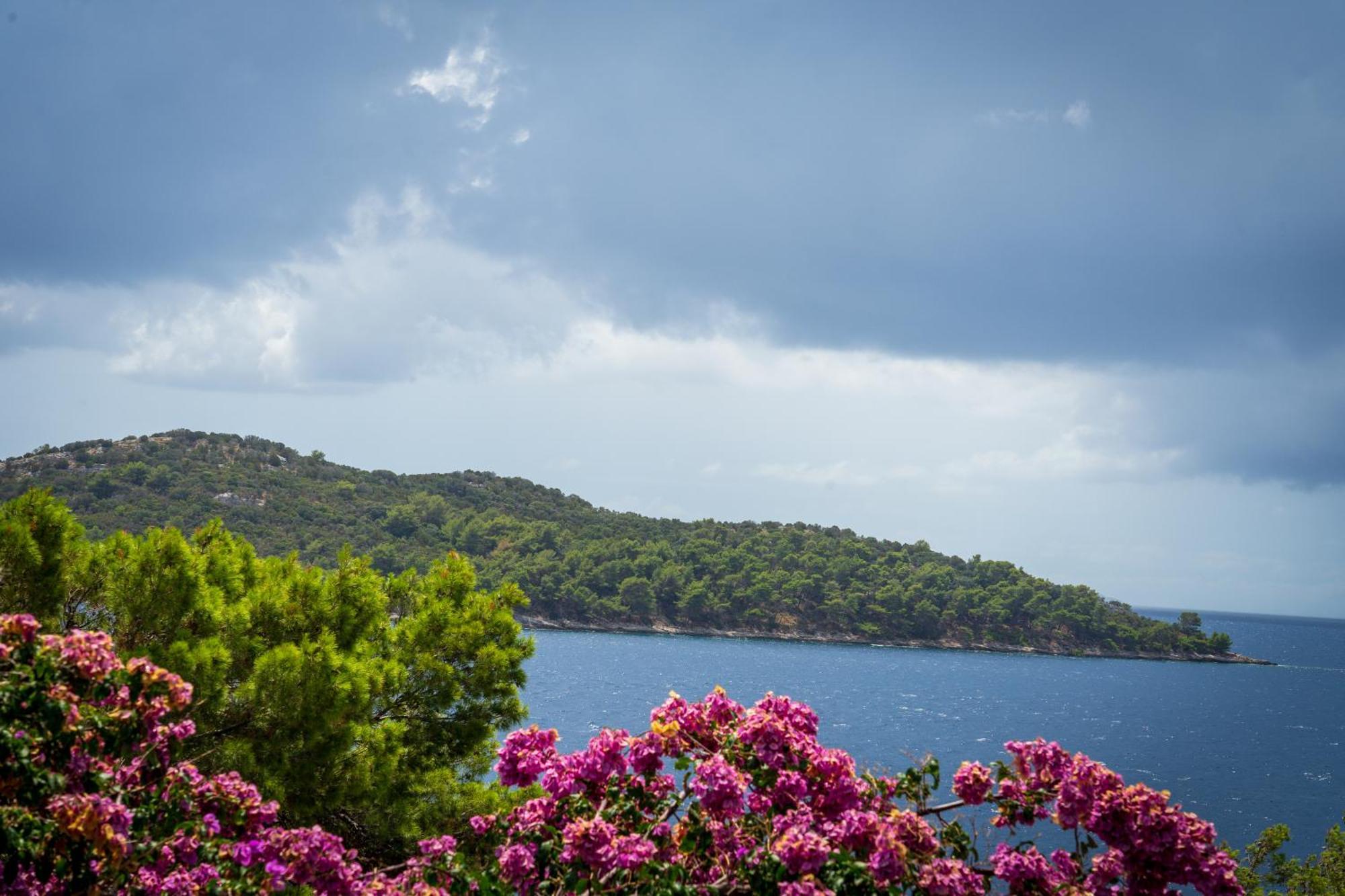 Apartman Ena By The Sea بريسبا الغرفة الصورة